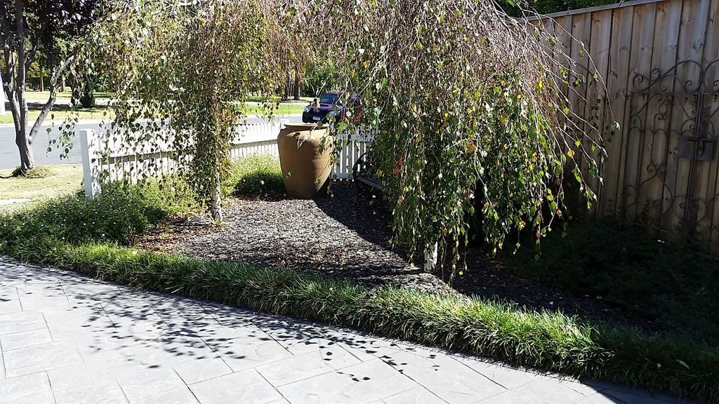 Creek Cottage Bed And Breakfast Traralgon Εξωτερικό φωτογραφία