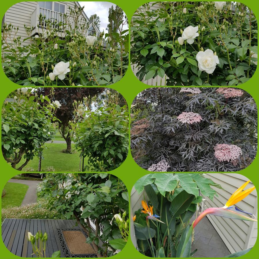 Creek Cottage Bed And Breakfast Traralgon Εξωτερικό φωτογραφία